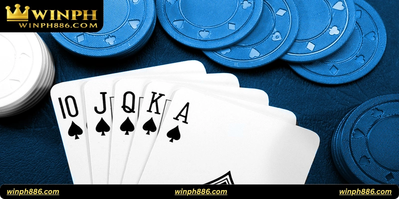 5 Card Poker