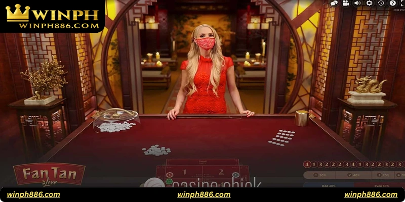 Legal and Responsible Gambling in the Color Game
