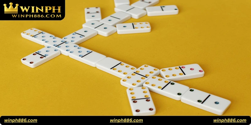 FAQ: Common Questions About Domino Go