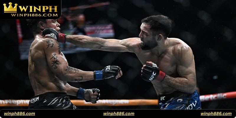 UFC / Boxing Betting