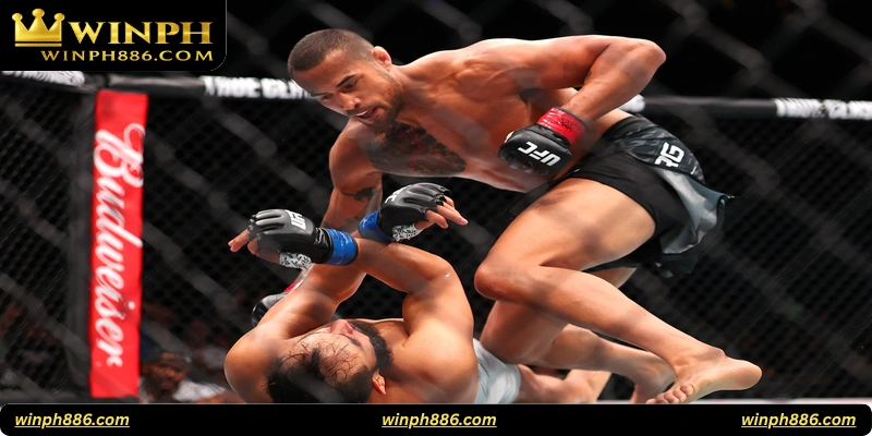 Live Betting in Combat Sports