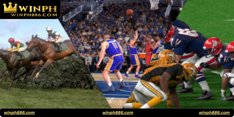 What Are Virtual Sports?
