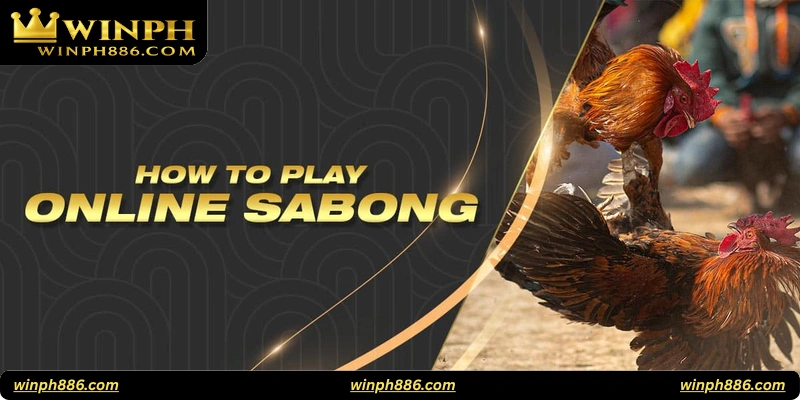 Important Tips for Success in WinPH Sabong