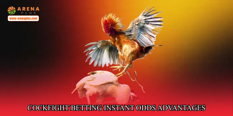 Cockfight betting instant odds advantages
