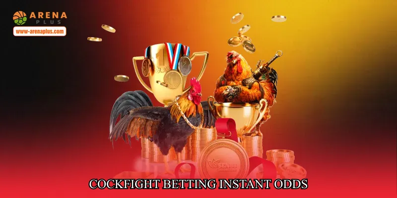 cockfight betting instant odds